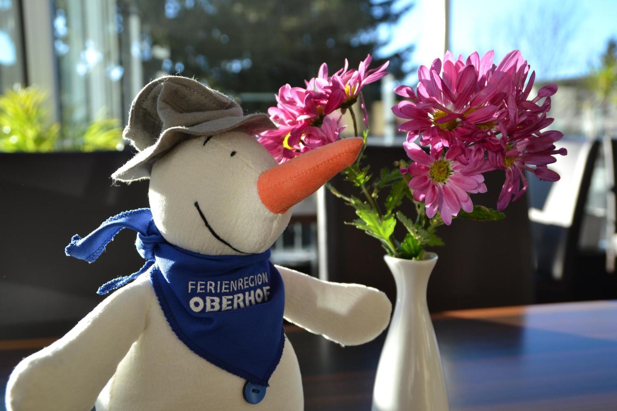 Chalet Sonnenhang Oberhof โอบาโฮฟ ภายนอก รูปภาพ
